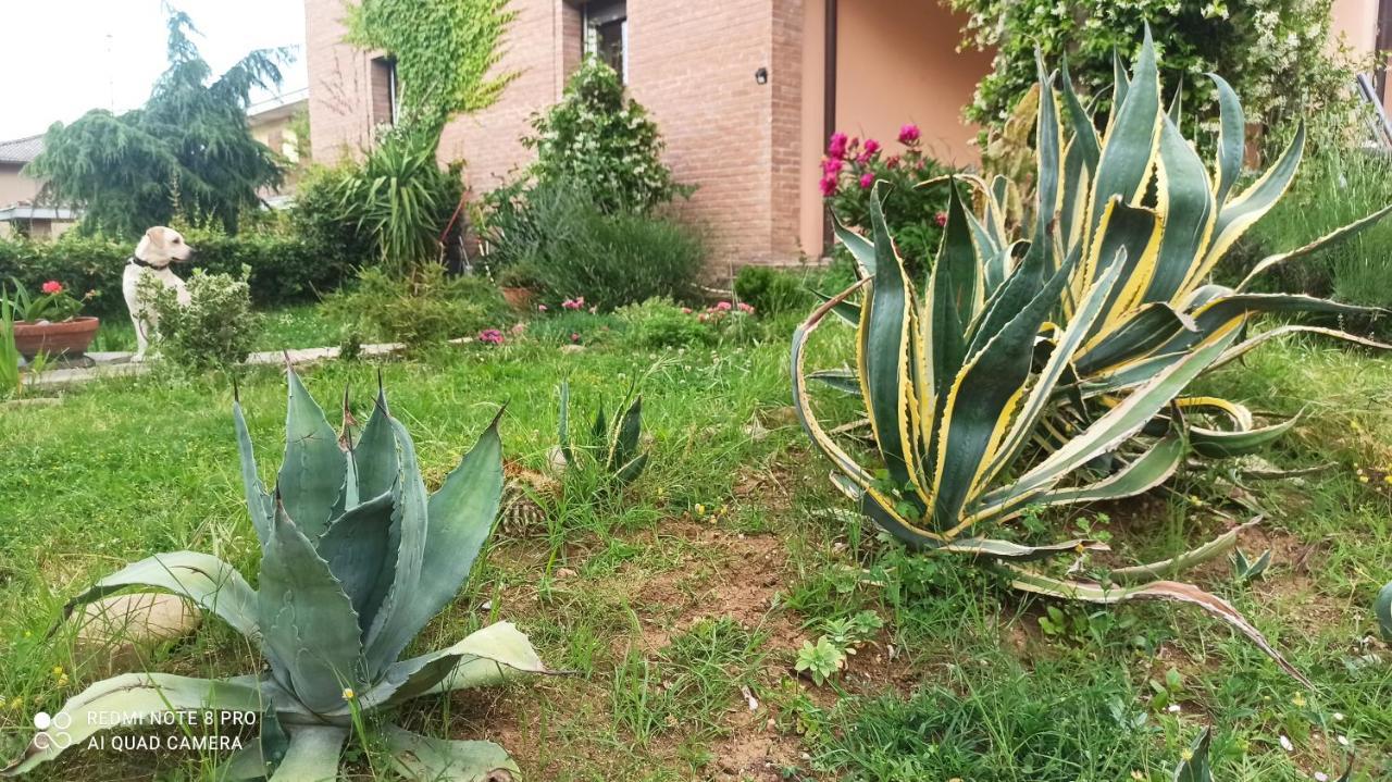 Felino Casa Vincenzo 130 Mq Con Portico Ed Ingresso Esclusivo Dal Giardinoヴィラ エクステリア 写真