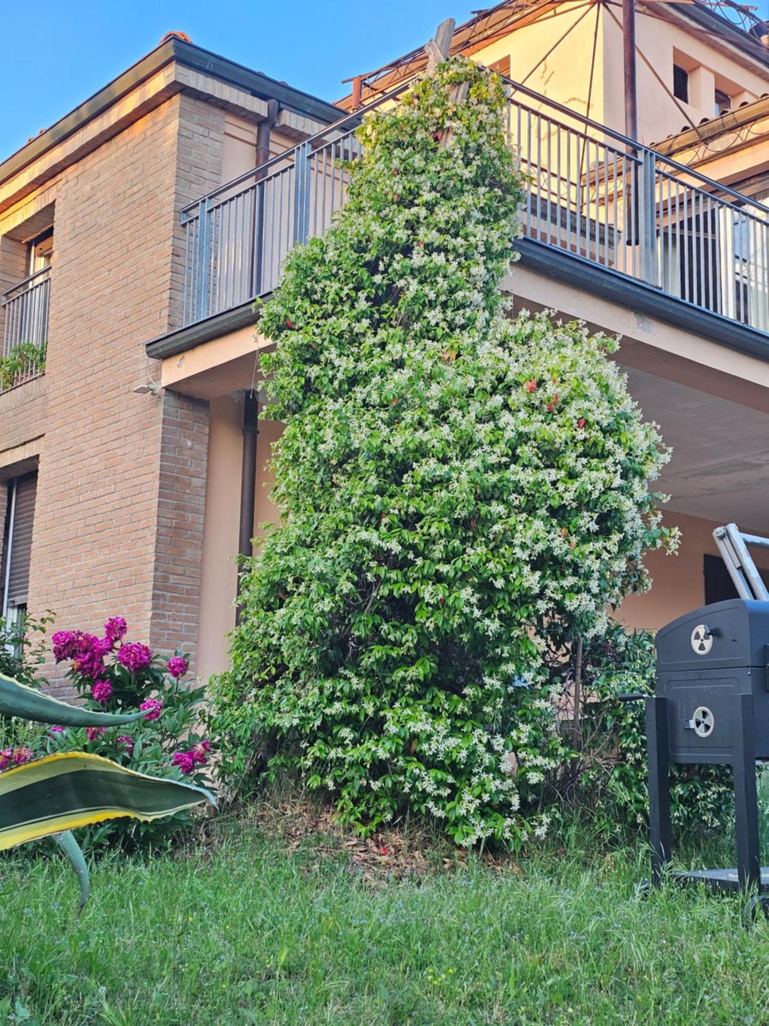 Felino Casa Vincenzo 130 Mq Con Portico Ed Ingresso Esclusivo Dal Giardinoヴィラ エクステリア 写真