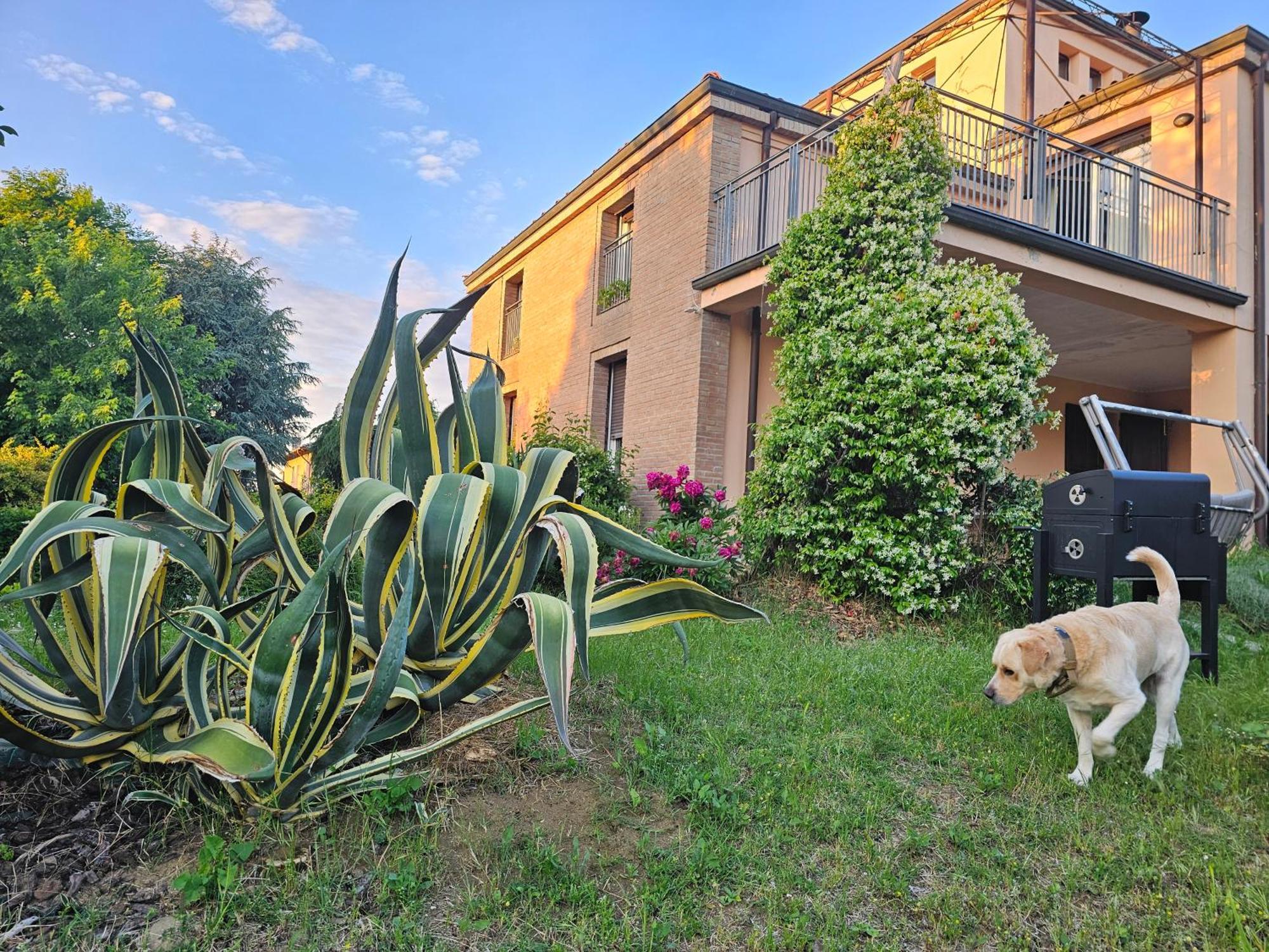 Felino Casa Vincenzo 130 Mq Con Portico Ed Ingresso Esclusivo Dal Giardinoヴィラ エクステリア 写真