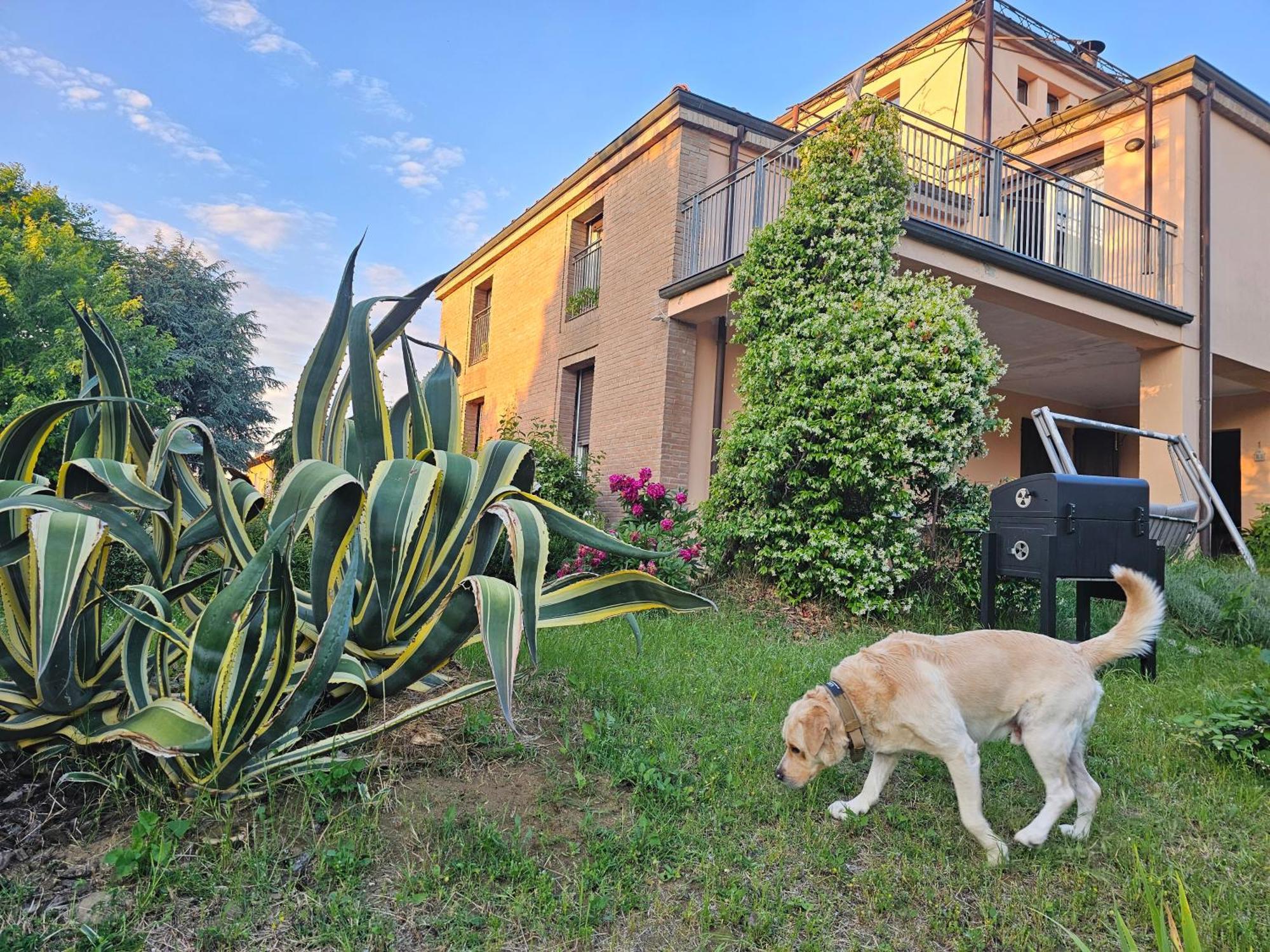 Felino Casa Vincenzo 130 Mq Con Portico Ed Ingresso Esclusivo Dal Giardinoヴィラ エクステリア 写真